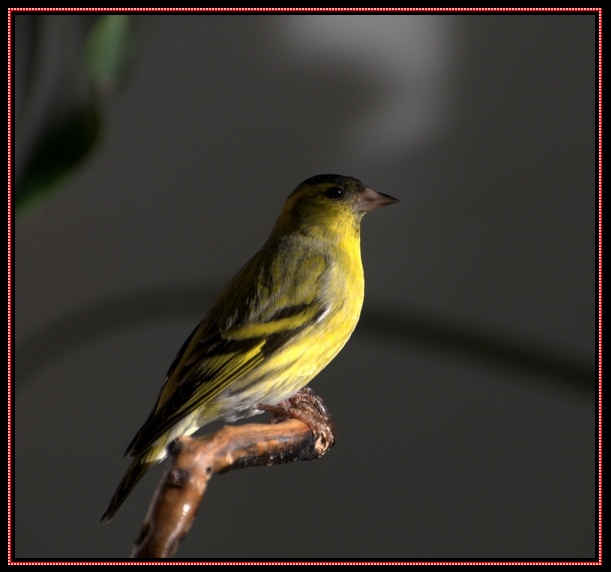 DSC_1151.jpg