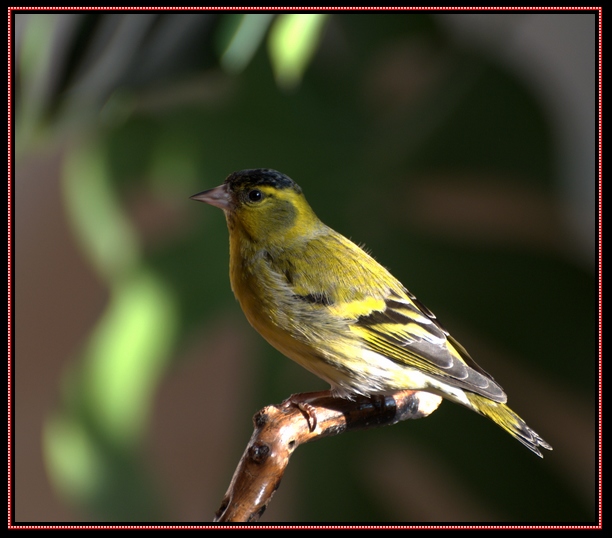 DSC_1161.jpg