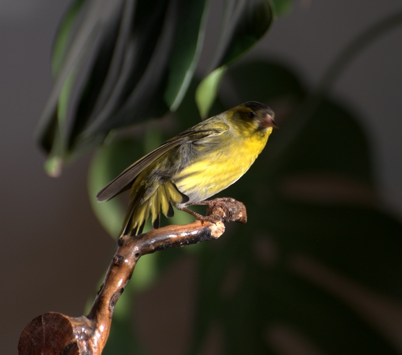 DSC_1190.jpg
