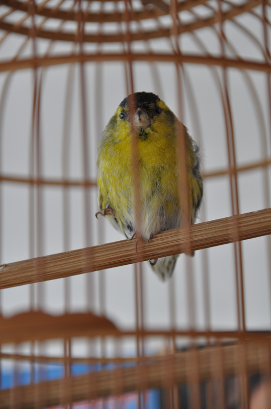 DSC_7383_副本.jpg