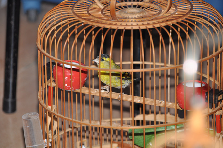 DSC_7175_副本.jpg