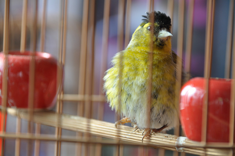 DSC_7275_副本.jpg