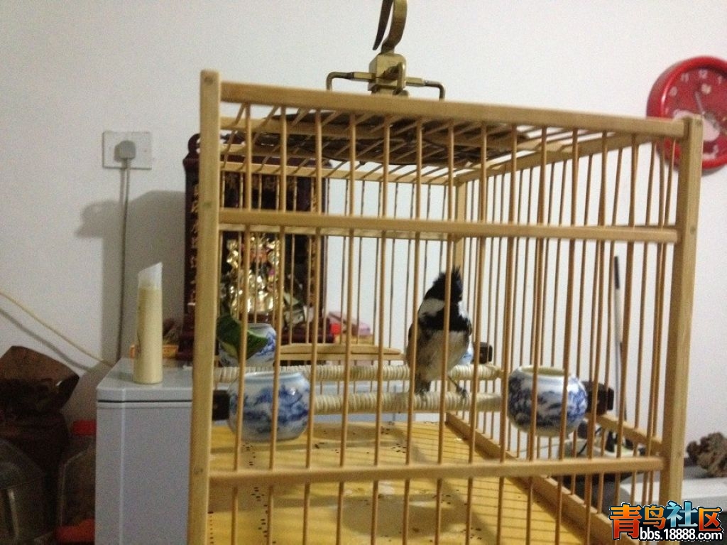 未命名2.jpg