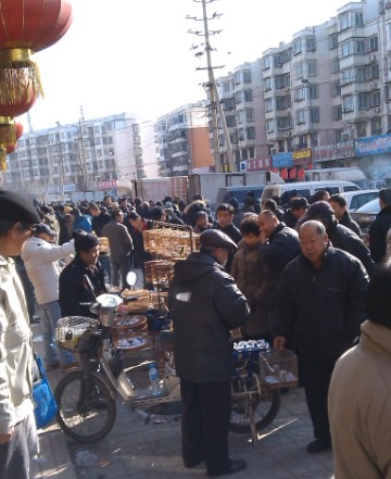 QQ截图20121223183901.jpg