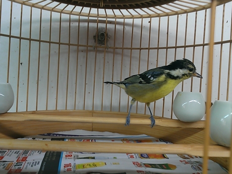 WP_000200.jpg