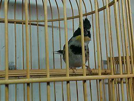 WP_000248.jpg