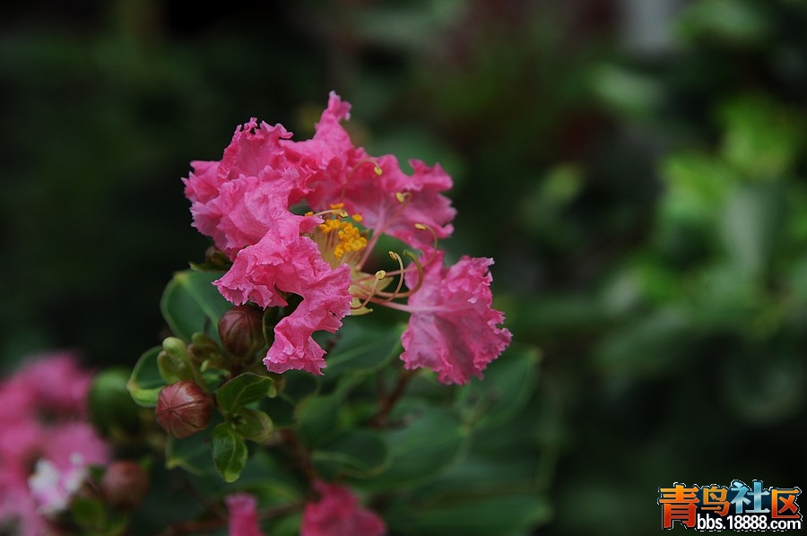 DSC_0612.JPG