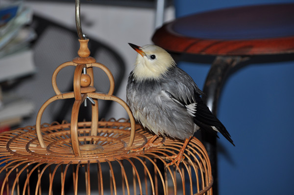 DSC_7663_副本.jpg