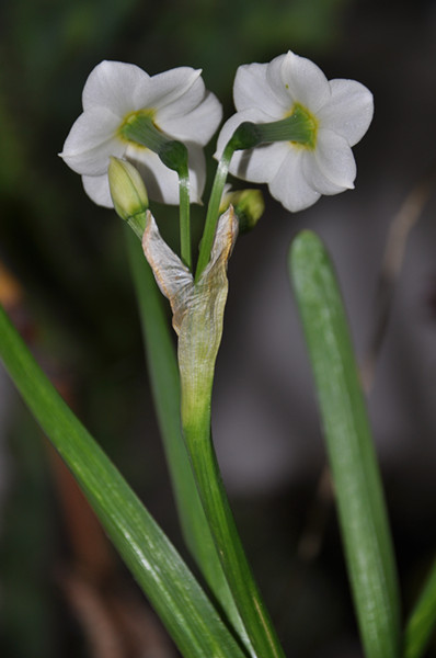 DSC_7717_副本.jpg