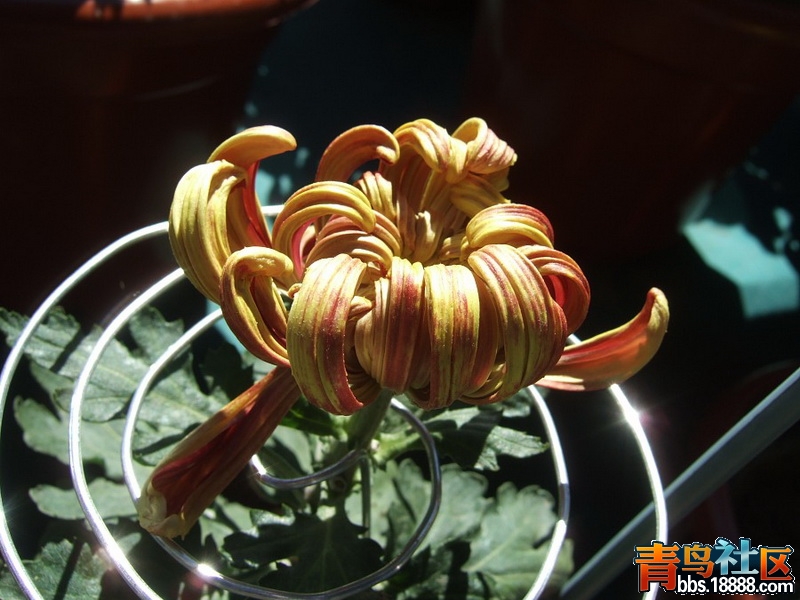 img142_调整大小.jpg