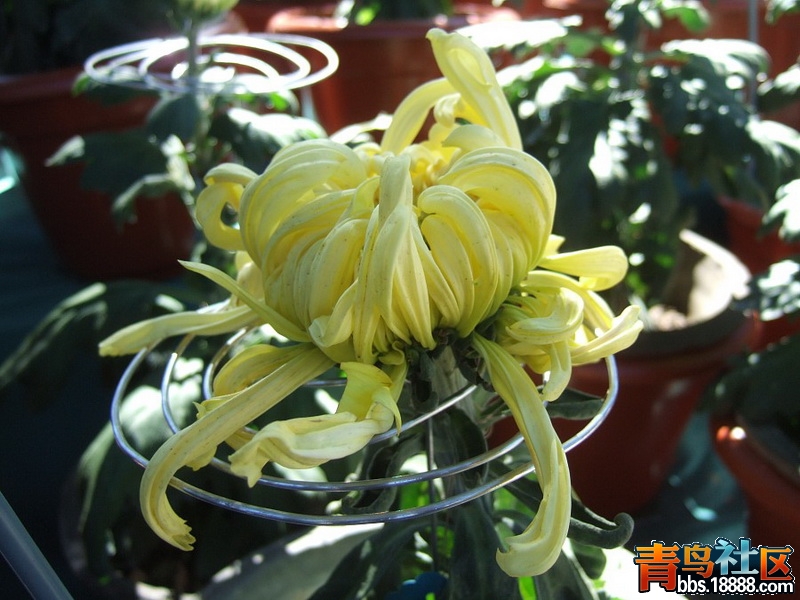 img179_调整大小.jpg