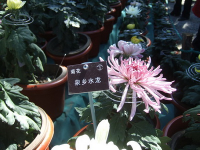 111_08_调整大小.jpg