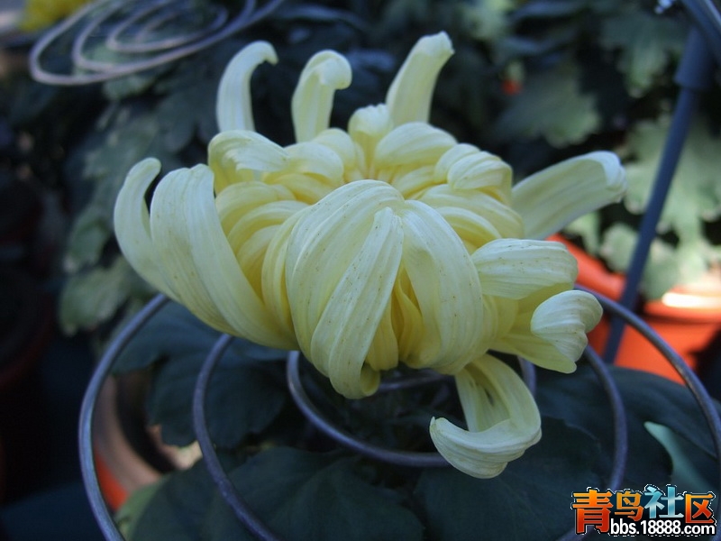 img235_调整大小.jpg