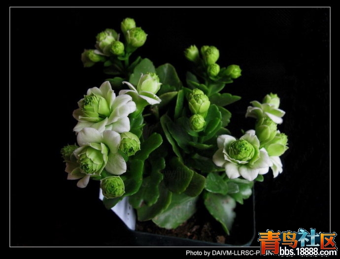 4ff2523ft9c5d4b36fe8b&amp;690.jpg