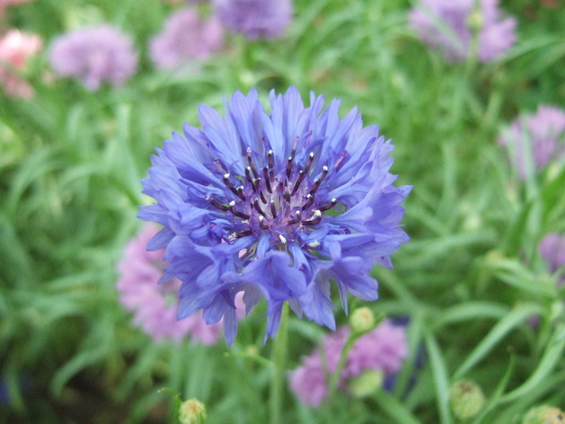 DSCF4552_调整大小.JPG
