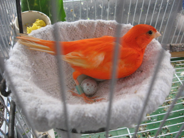 2013-01-022 007.jpg