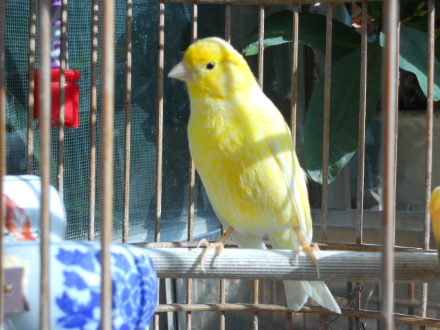 DSCN0329.jpg