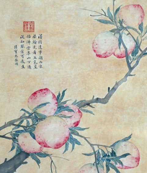 未命名26.jpg