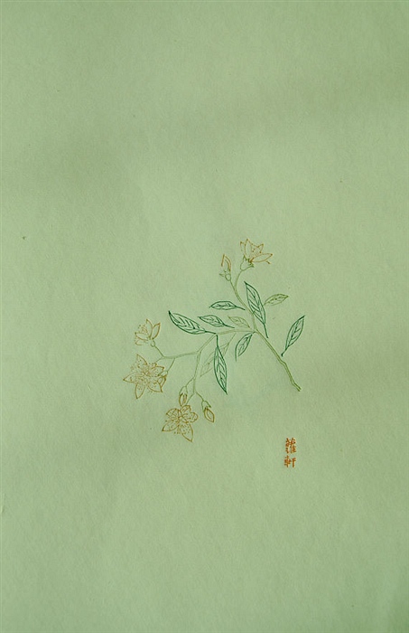 003.jpg