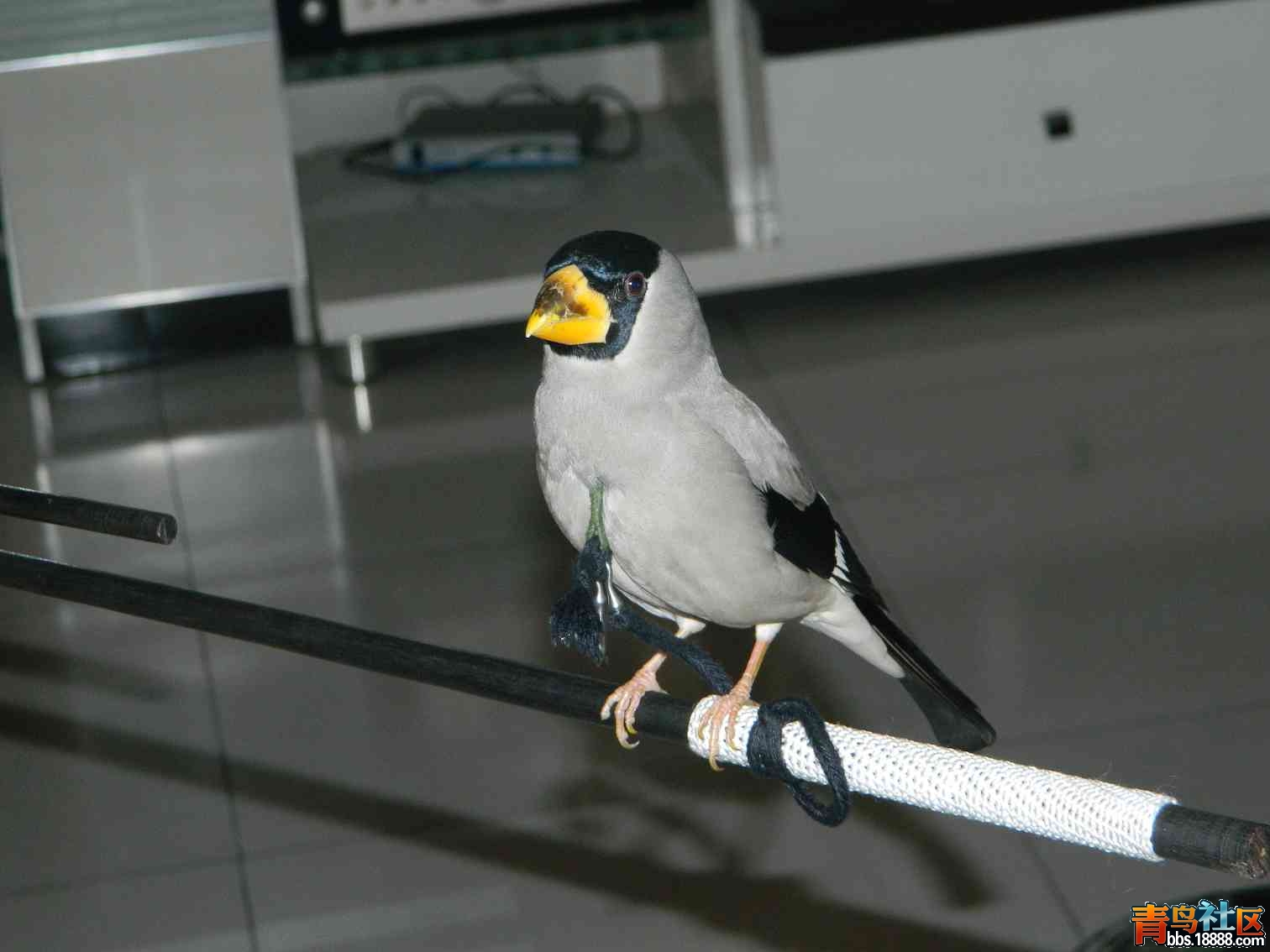 DSCN2875.JPG