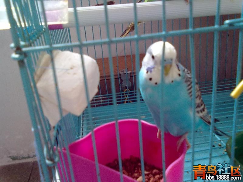 20130127325.jpg
