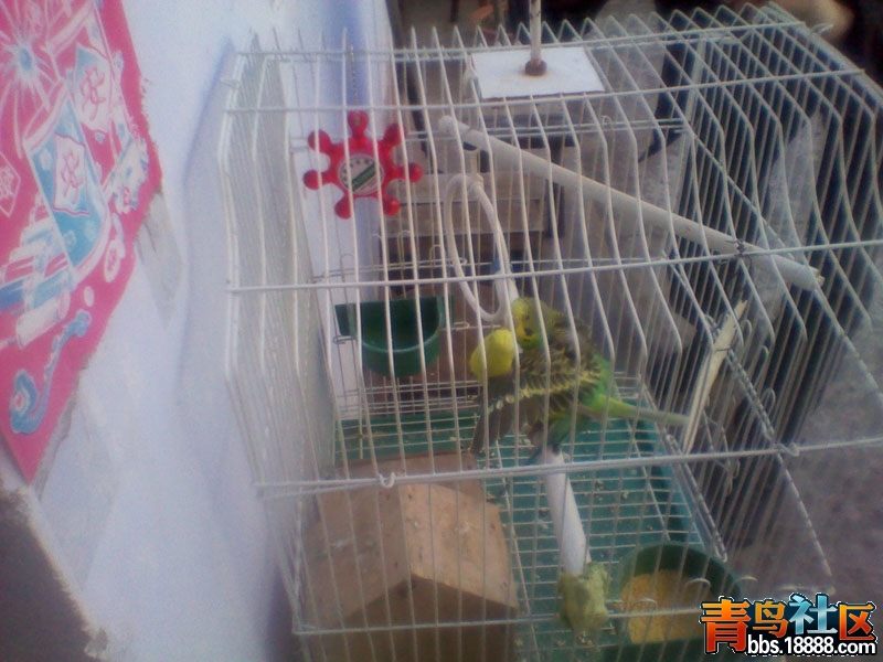 IMG_20121216_101727.jpg