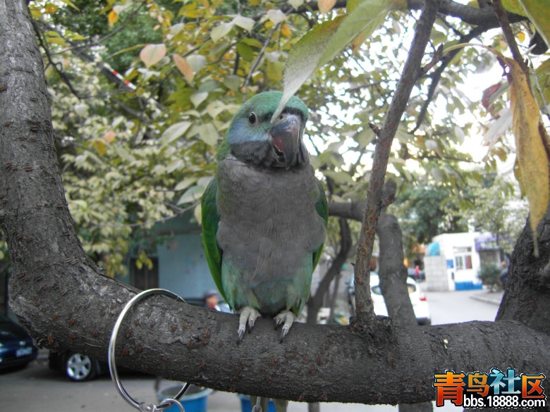 SDC12911_副本2.JPG