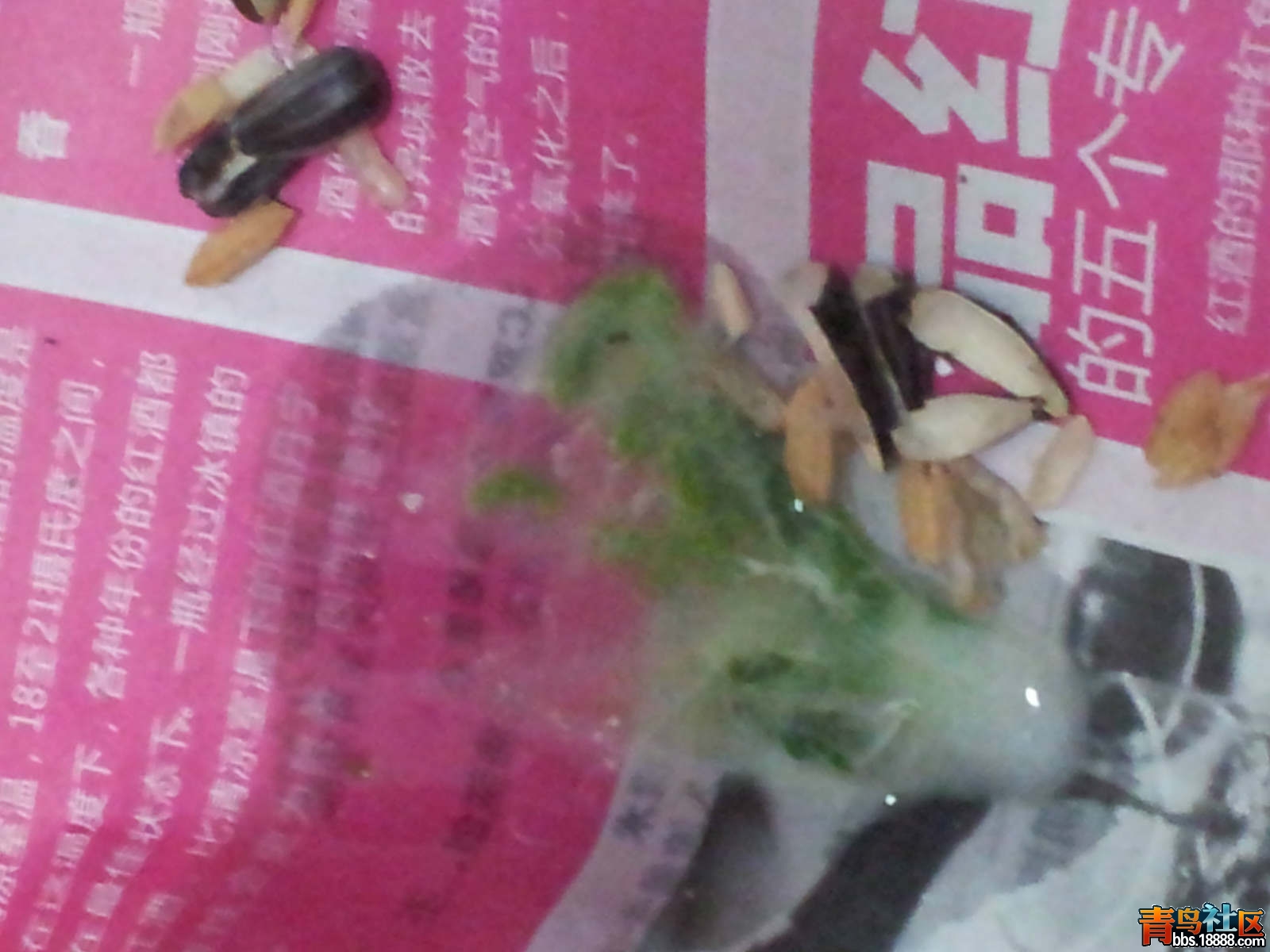 20130115_192930_meitu_1_meitu_1.jpg