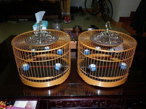 P1000182_副本.jpg