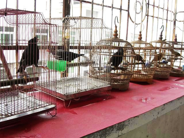 CIMG0025.jpg