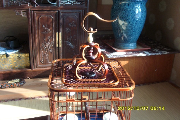 S73R0113.JPG