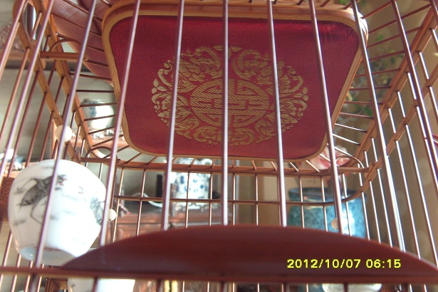S73R0121.JPG