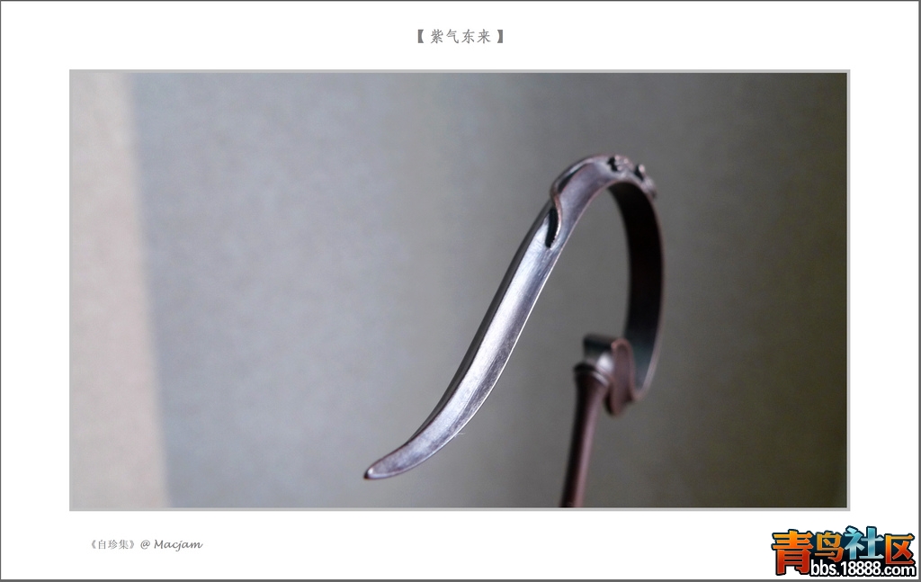nEO_IMG_L1120902.jpg