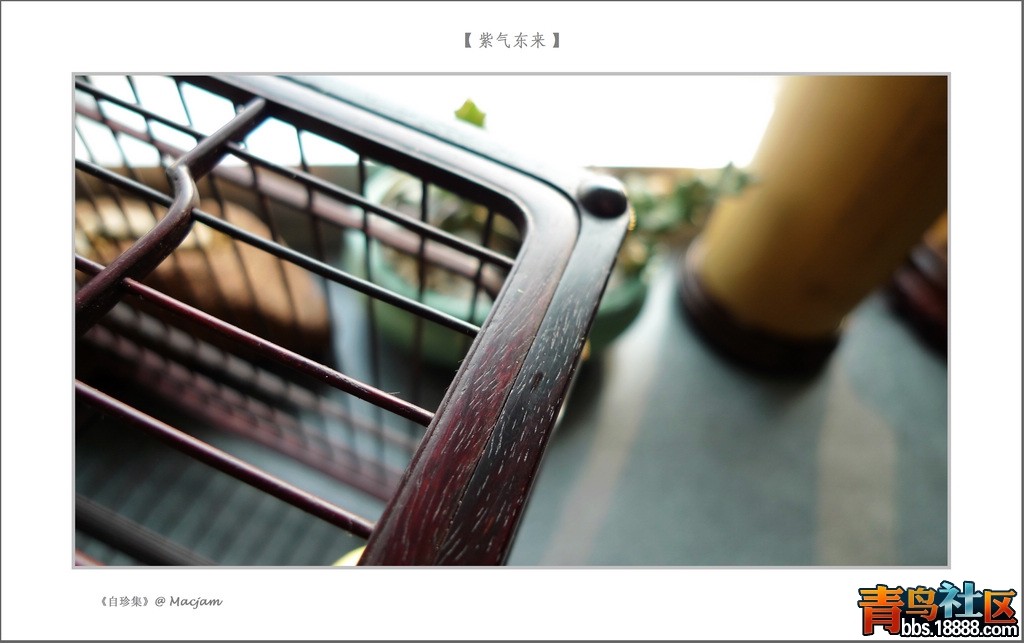 nEO_IMG_L1120942.jpg