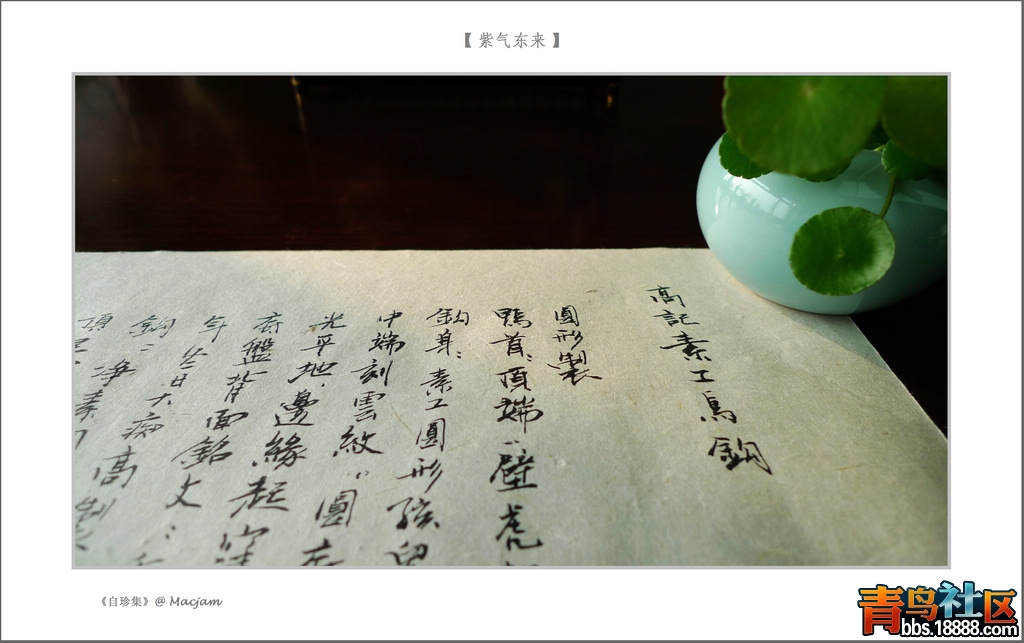 nEO_IMG_L1120933.jpg
