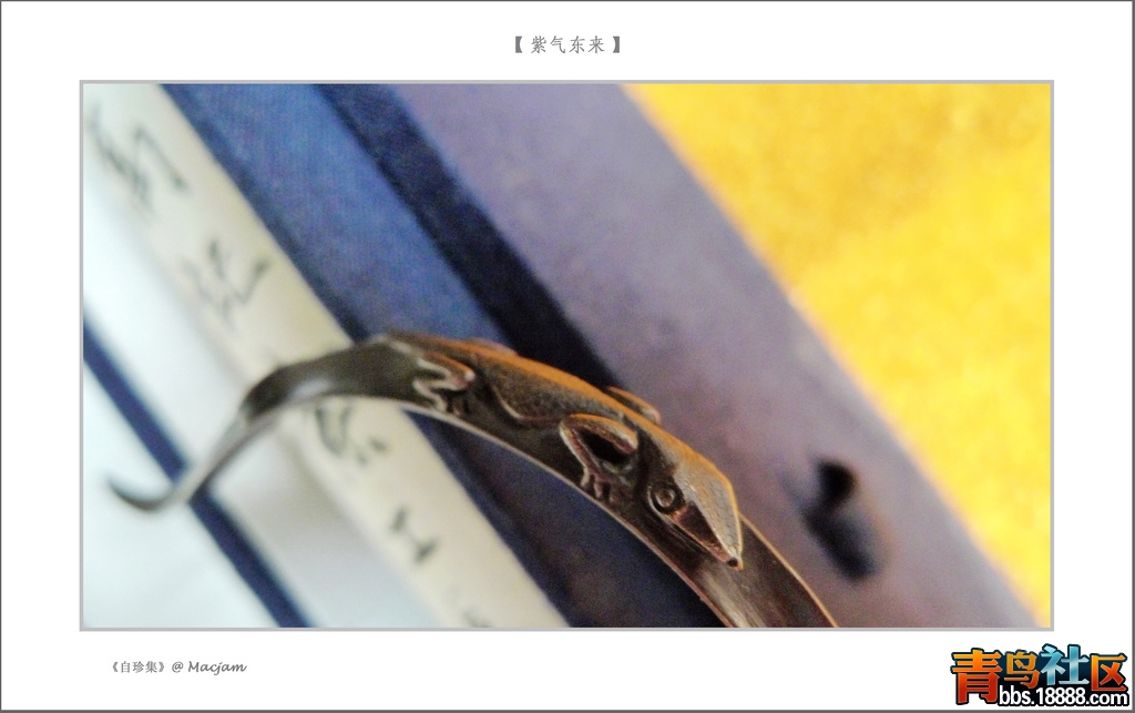 nEO_IMG_L1120927.jpg