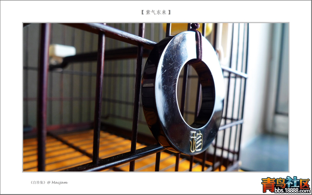 nEO_IMG_L1120908.jpg