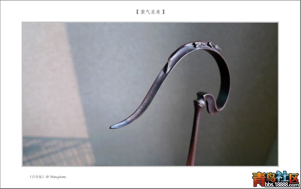 nEO_IMG_L1120903.jpg