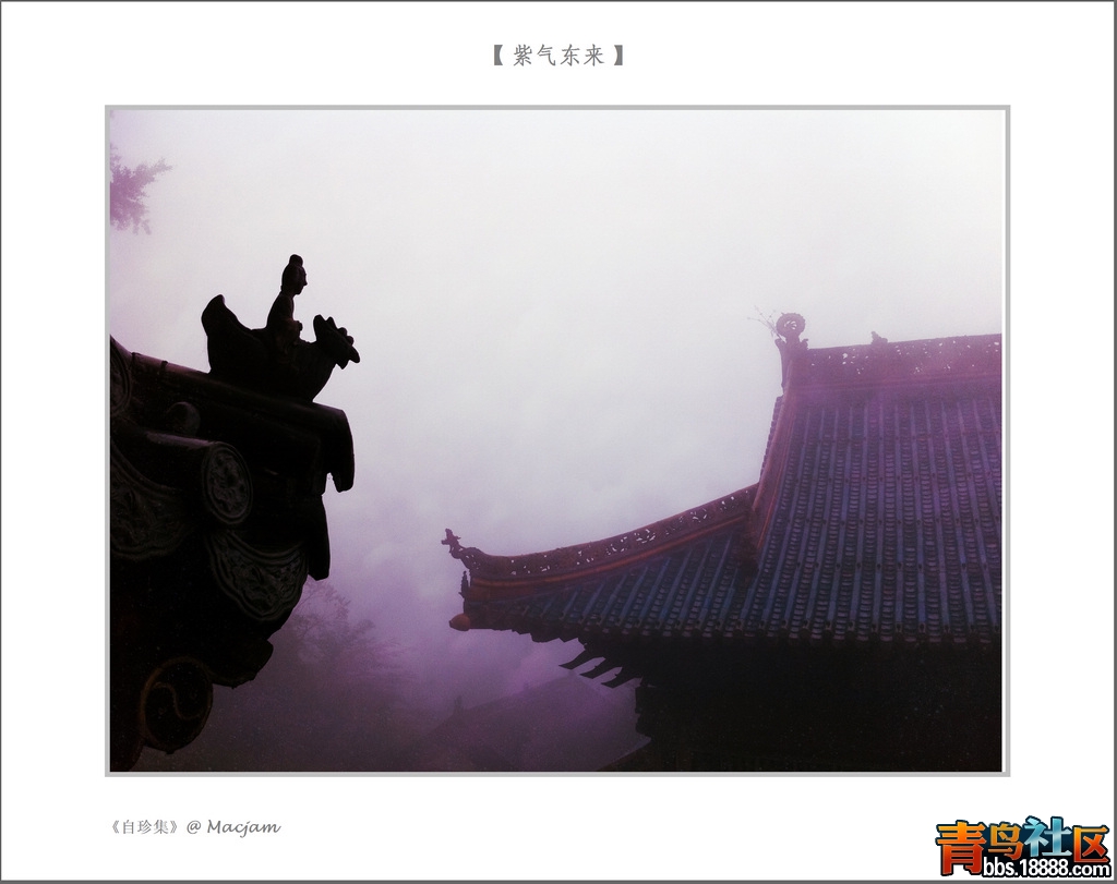 nEO_IMG_IMG_1099.jpg