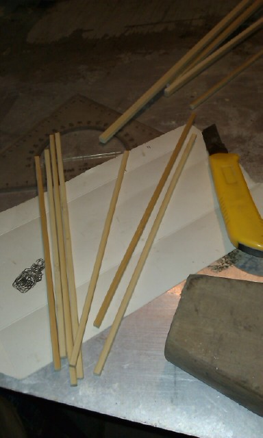 IMAG1532.jpg