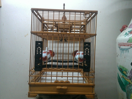WP_000852.jpg