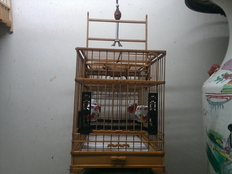 WP_000862.jpg