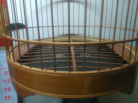 WP_001381.jpg