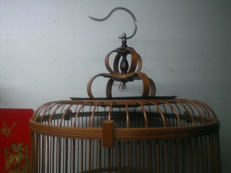 WP_001392.jpg