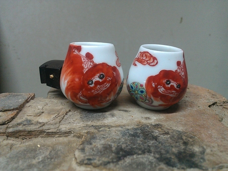 WP_001002.jpg