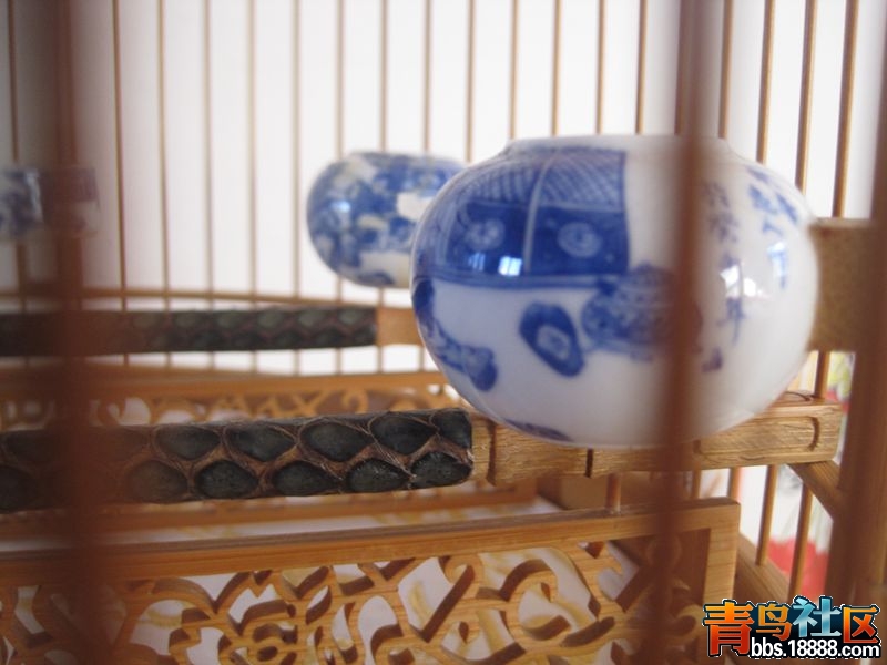 照片 038.jpg