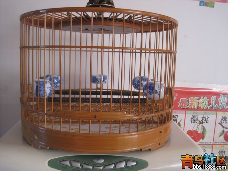 照片 027.jpg