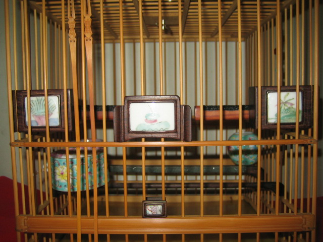 照片 002.jpg