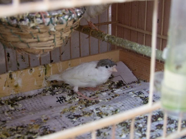 DSCF8210.JPG
