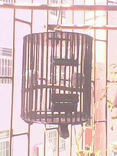 IMG0066A.jpg